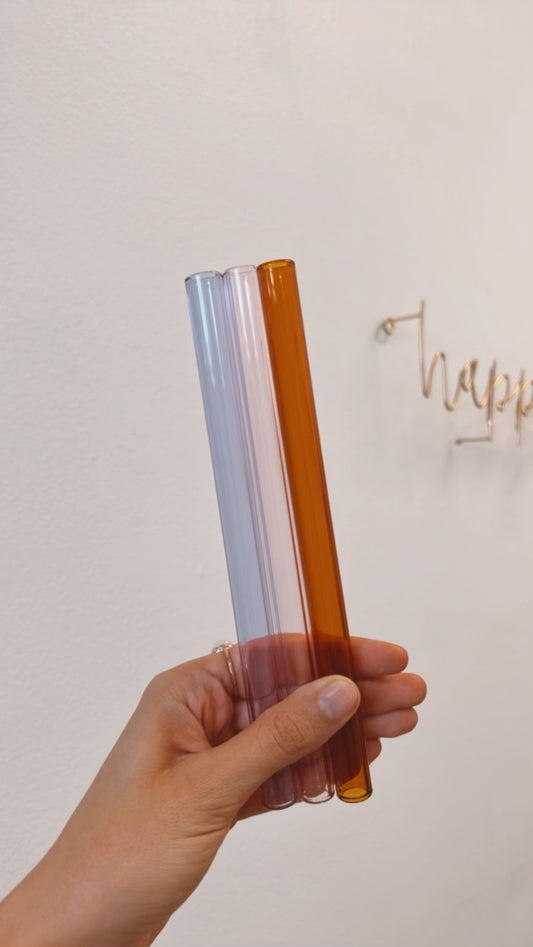 Glass Straws