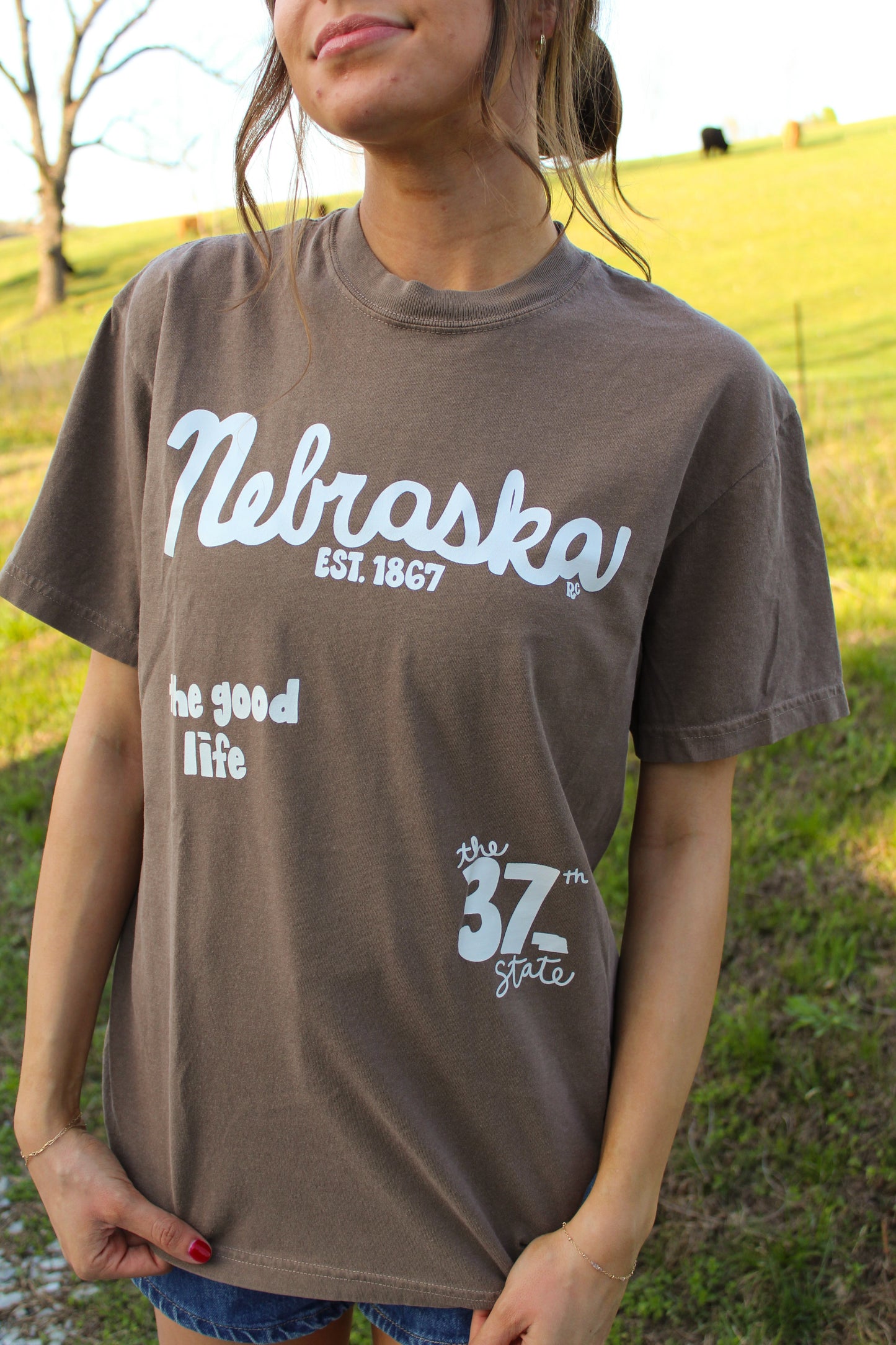 Nebraska 37th State Espresso Tee
