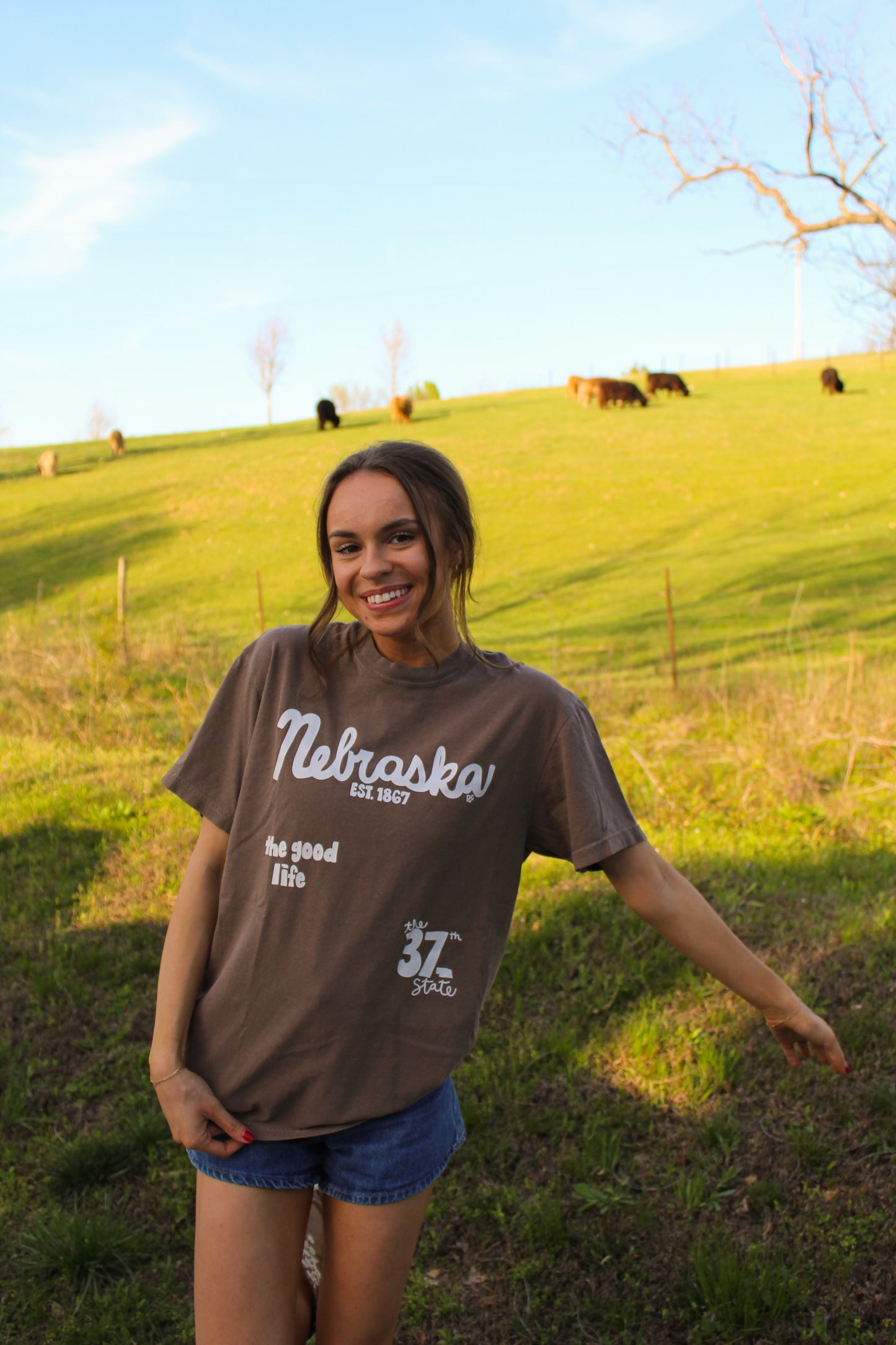 Nebraska 37th State Espresso Tee