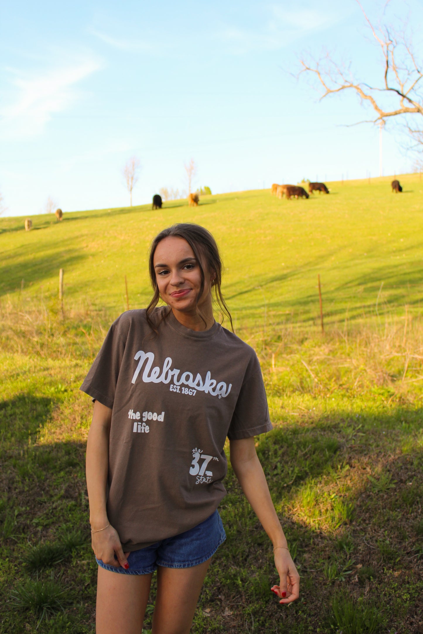 Nebraska 37th State Espresso Tee