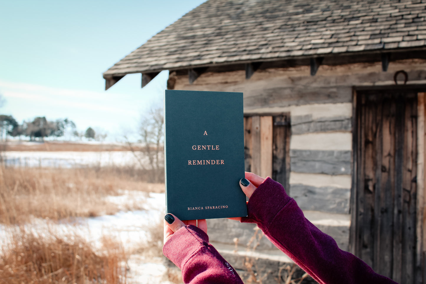 Gentle Reminder Book