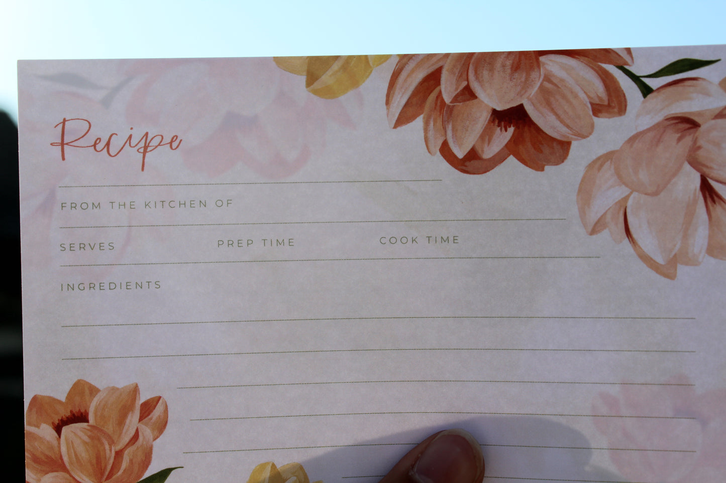 Recipe Cards Set of 15