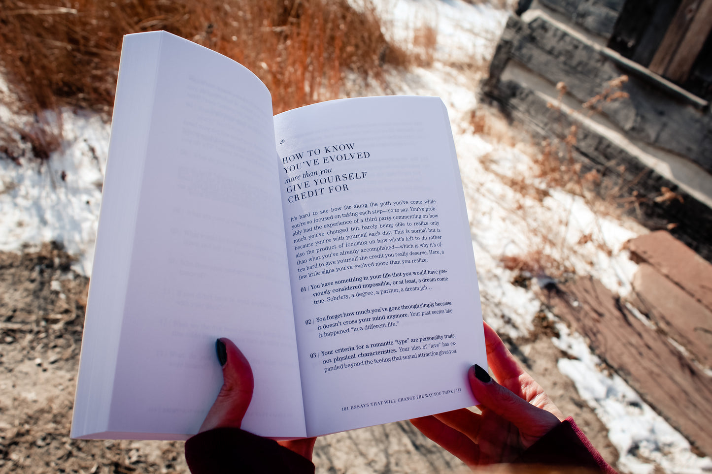 101 Essays to Change the Way You Think Book