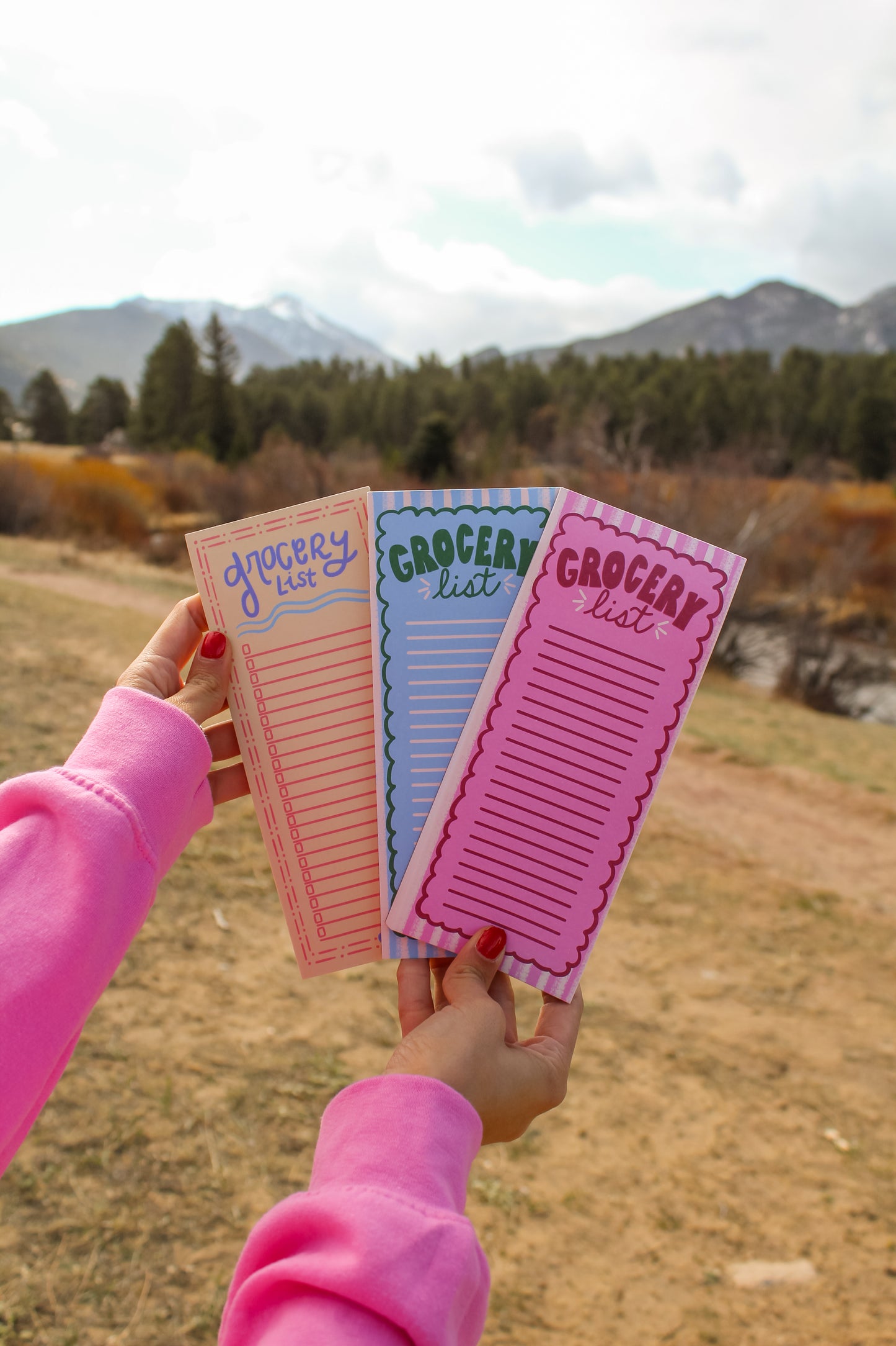 Berry Grocery List