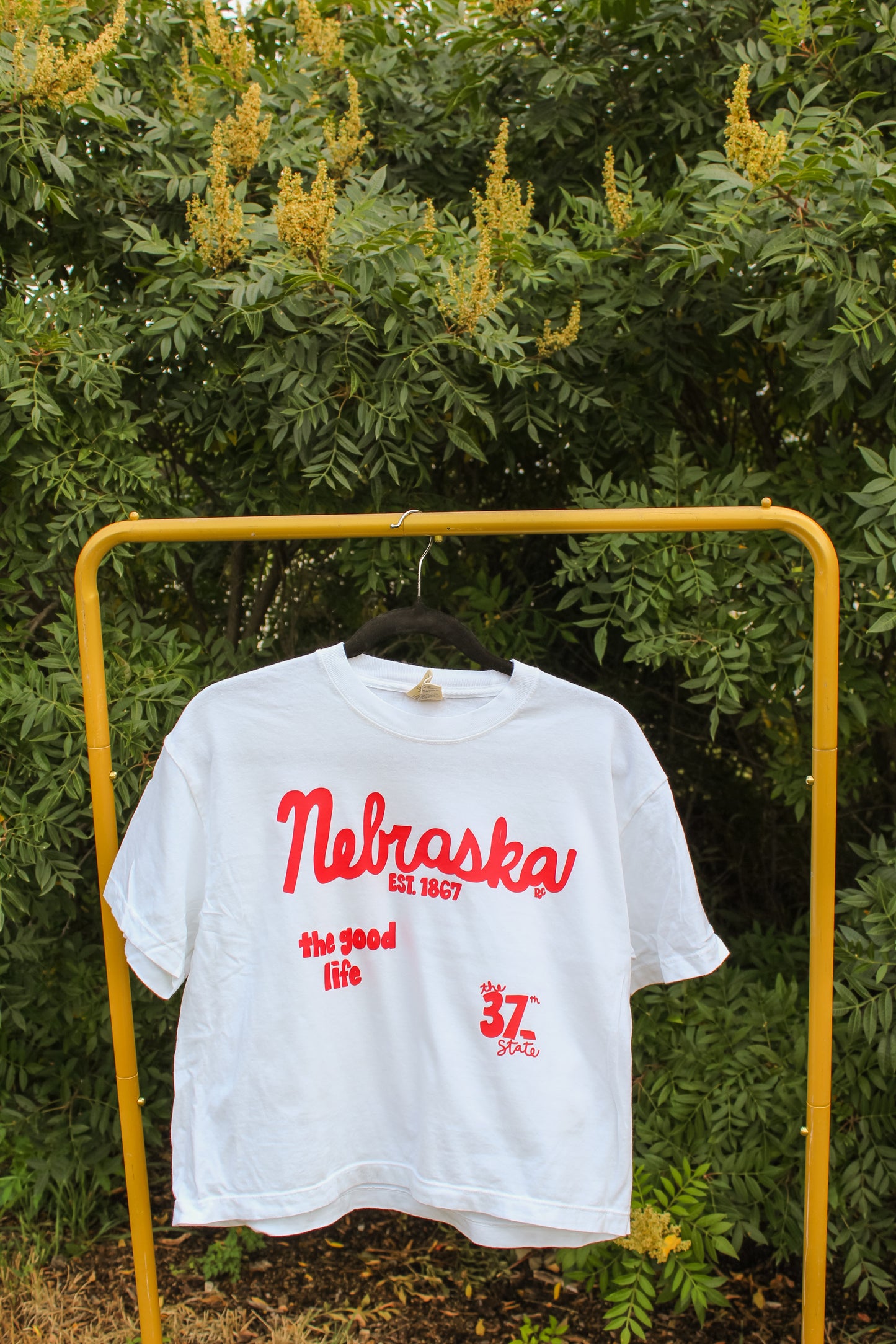 Nebraska 37th State Boxy Cropped Tee