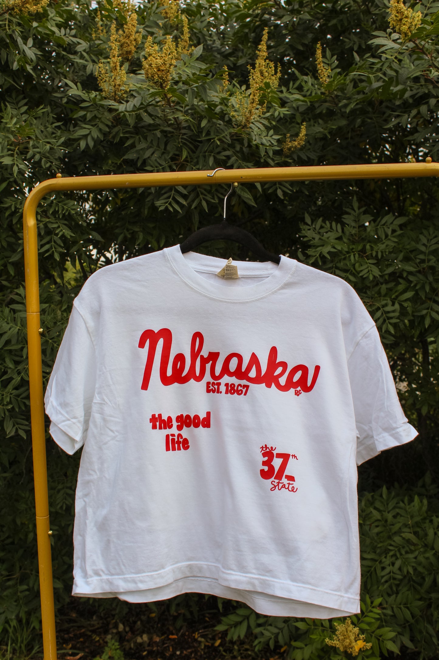 Nebraska 37th State Boxy Cropped Tee