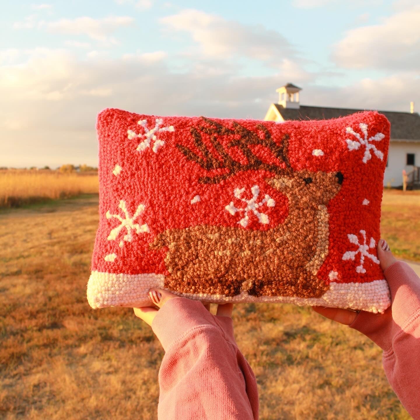 Reindeer Pillow