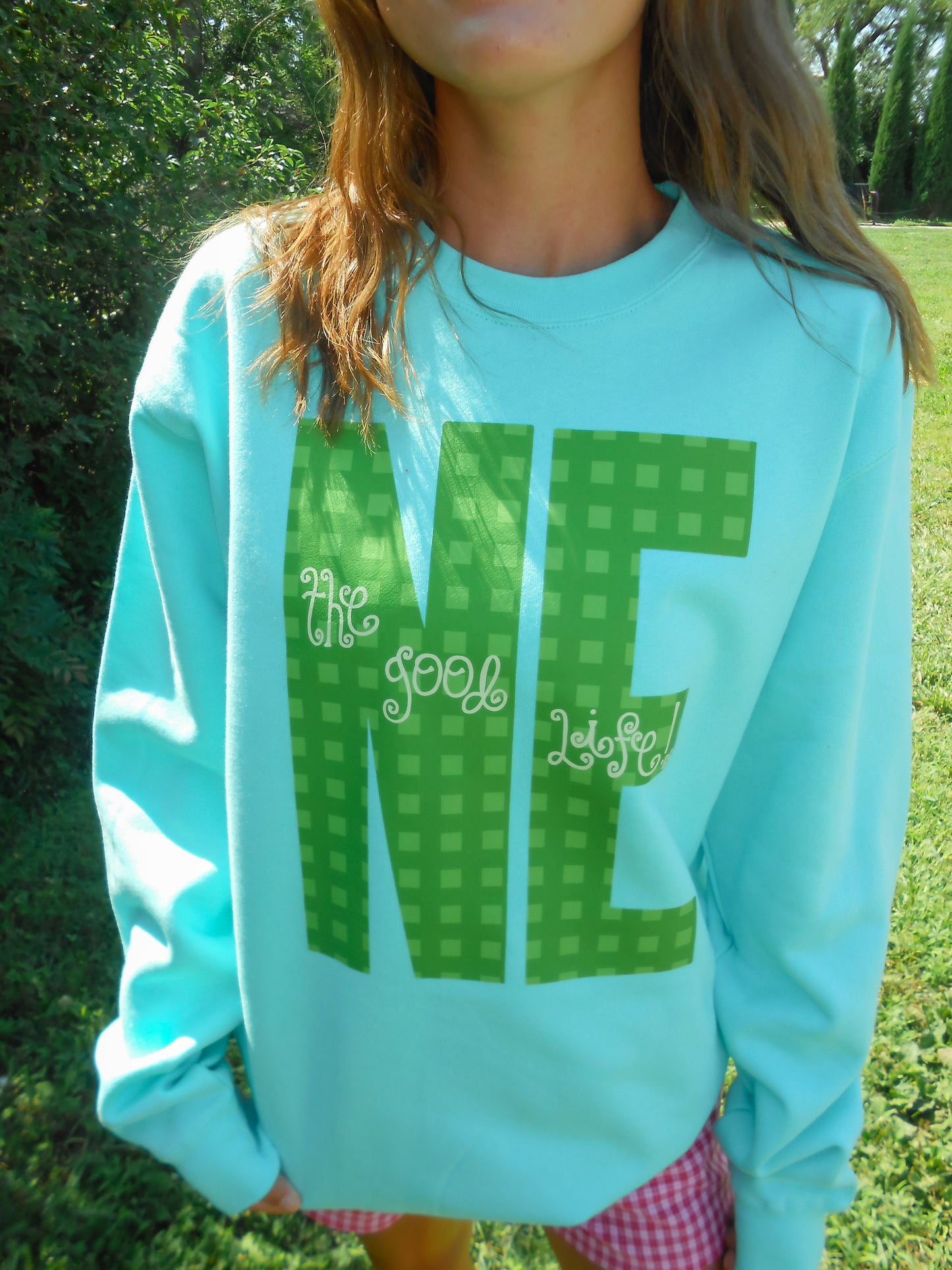 Nebraska Gingham Mint Crew