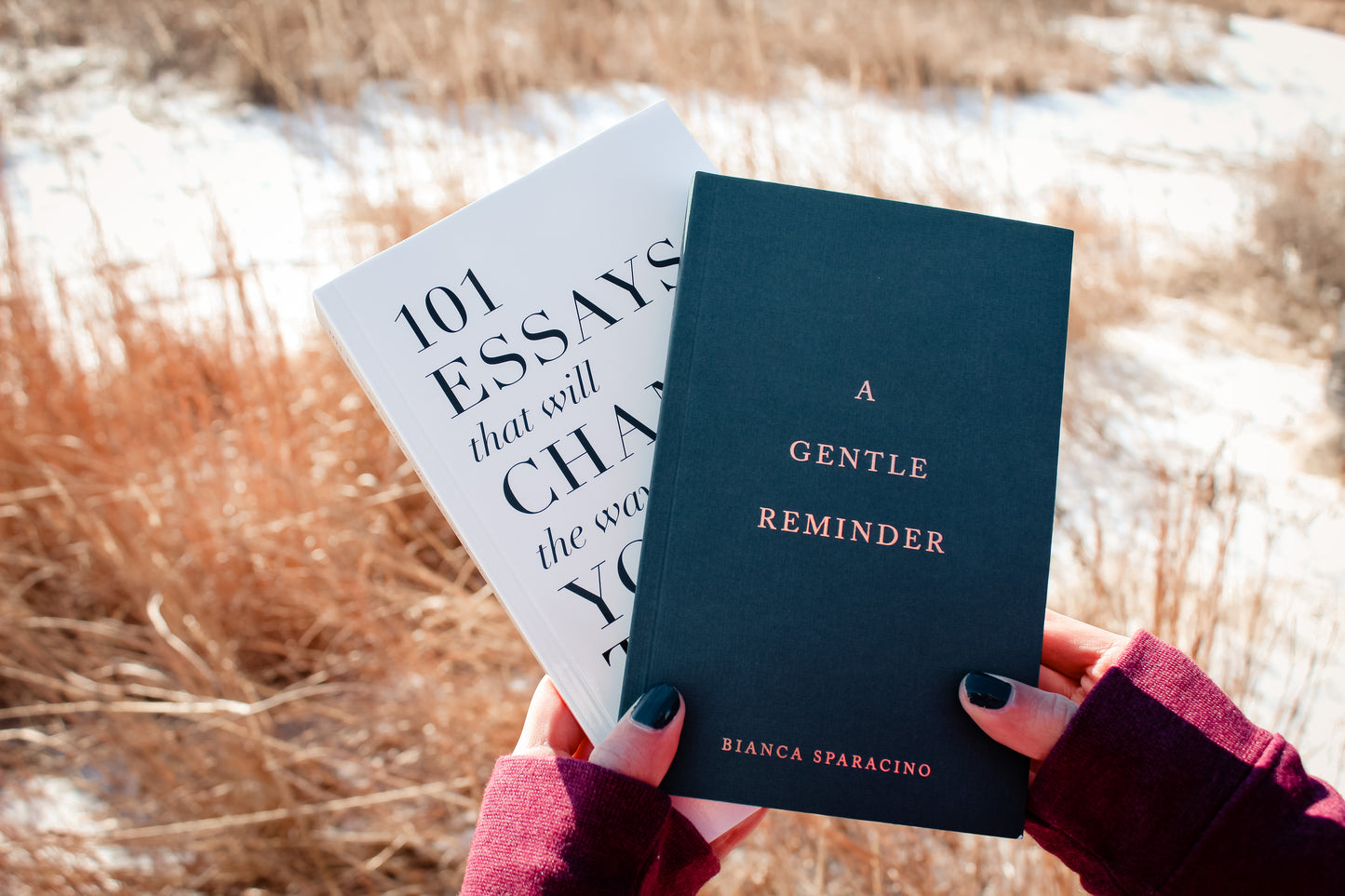 Gentle Reminder Book